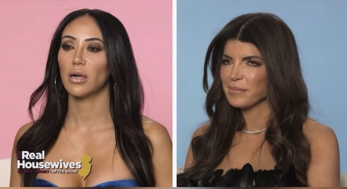 REPORT: Teresa Giudice Plans to Avoid Melissa Gorga While Filming Season 14 of RHONJ Melissa Gorga and Teresa Giudice argue on RHONJ: After Show