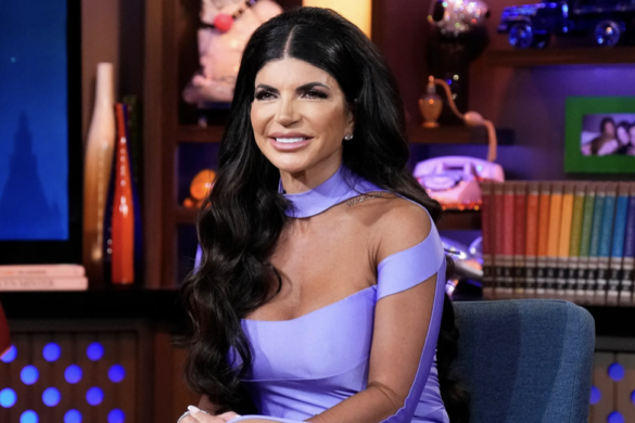 Teresa Giudice Shades Melissa Gorga Over Sprinkle Cookie Business