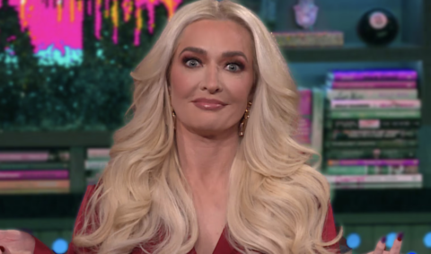 Erika Jayne Reveals Garcelle Beauvais Quit Two Weeks Ago After Being Upset Over Reunion