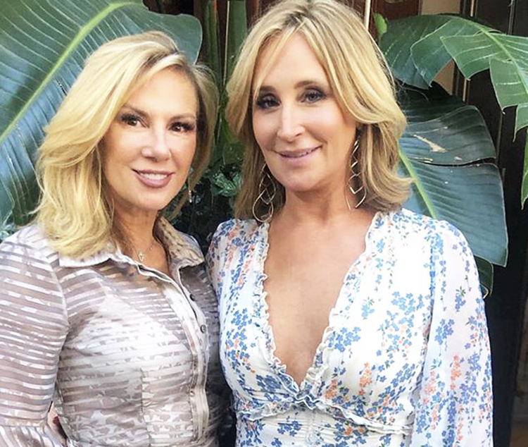 Ramona Singer Defends Sonja Morgan Amid Restaurant Incidents 7 Ramona Singer Defends Sonja Morgan Amid Restaurant Incidents