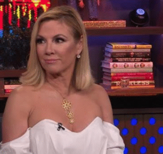 Ramona Singer Rejects A-Lister Who Tried to Say Hello, Thinking She Was a Fan