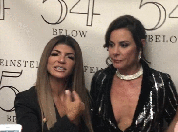 Luann de Lesseps Explains RHONJ Test Shoots and What It Means for Teresa Giudice