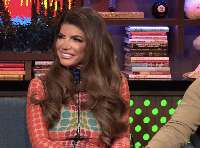 Teresa Giudice Steals the Spotlight at BravoCon: More Panels, More Appearances, and More Presence Than Any Other RHONJ Star