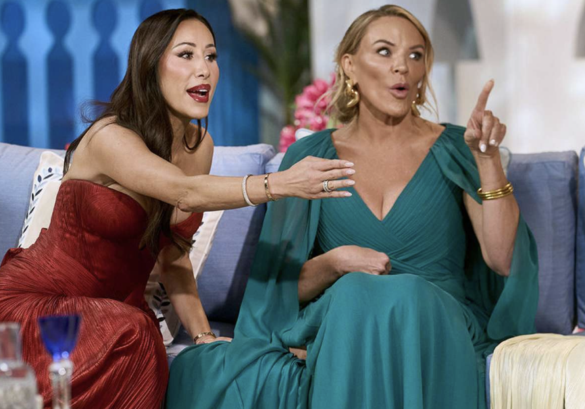 Lisa Barlow Calls Out the Double Standard After RHOSLC Reunion Targets Her Appearance